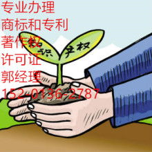 網絡文化經營 機遇、挑戰與合規之道